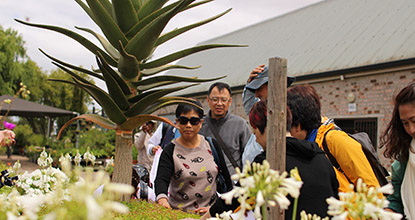 私人定制五星级服务