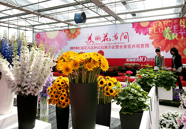 2010花卉品种试验展示会